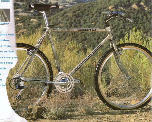 Diamond Back Ascent EX 1990