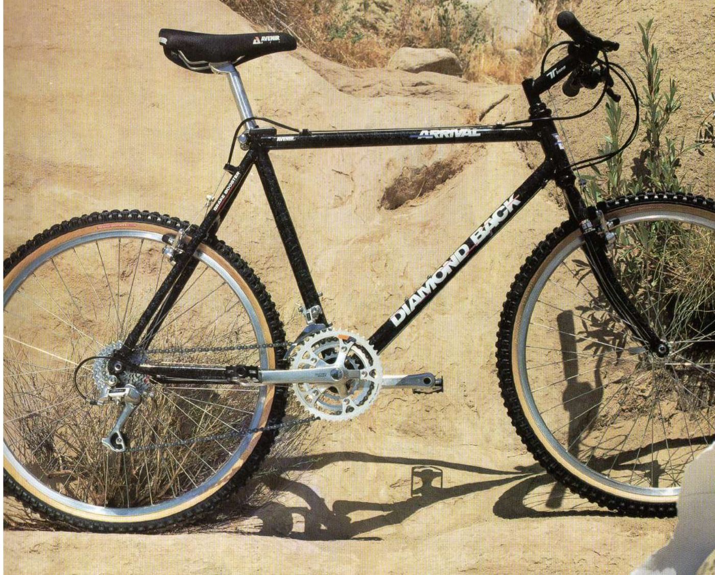 Diamond Back Arrival 1990