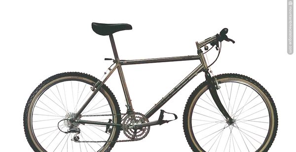 Marin Team Titanium