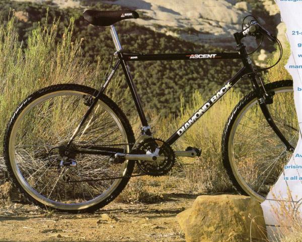 Diamond Back Ascent 1990