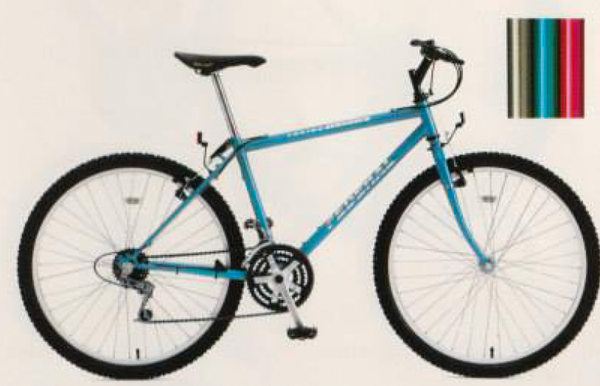 Federal Torino Terrain 1995