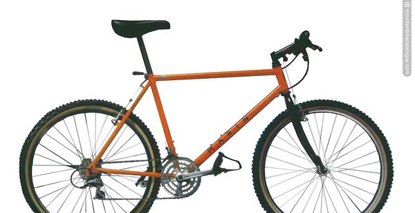 Marin Team Issue