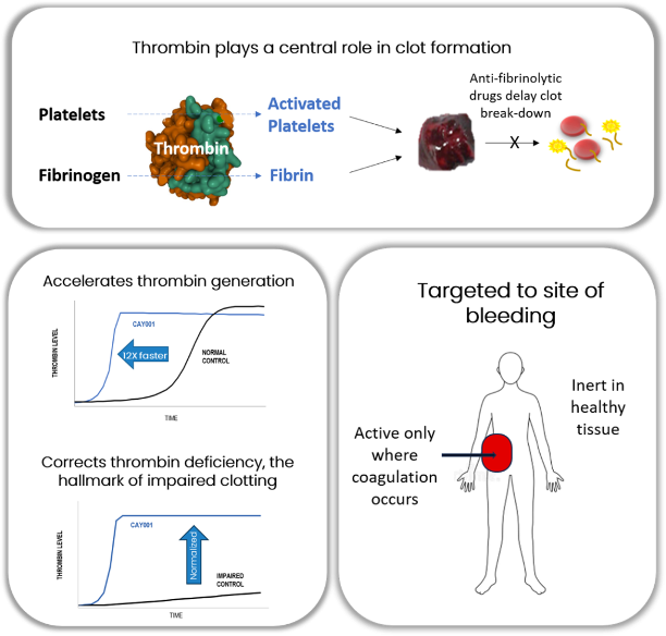 Rapid Injectable Hemorrhage Control for Noncompressible Bleeding: Cayuga Biotech