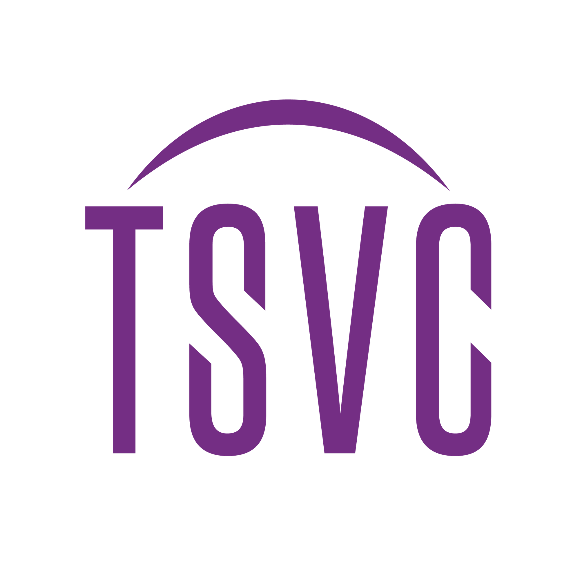 TSVC (TSV Capital)