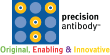 Precision Antibody