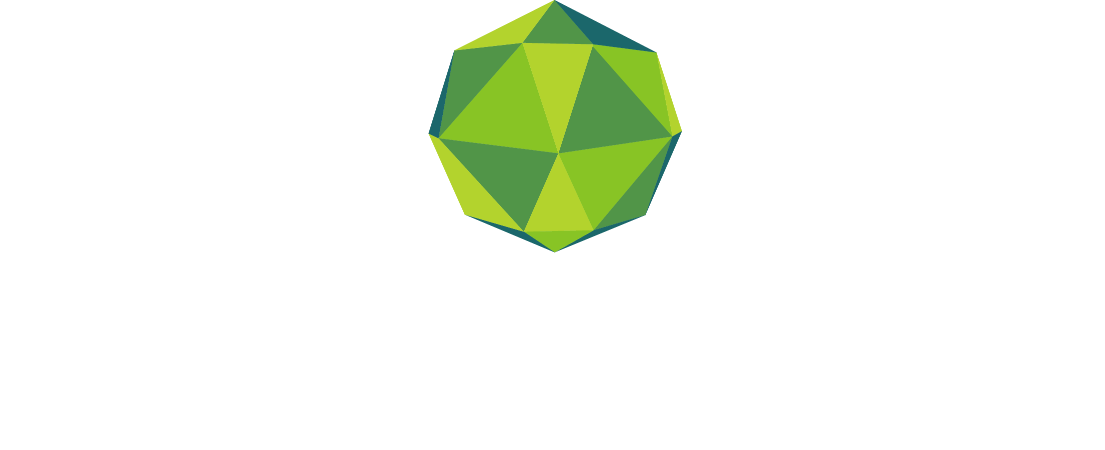 Charlotte Angel Fund