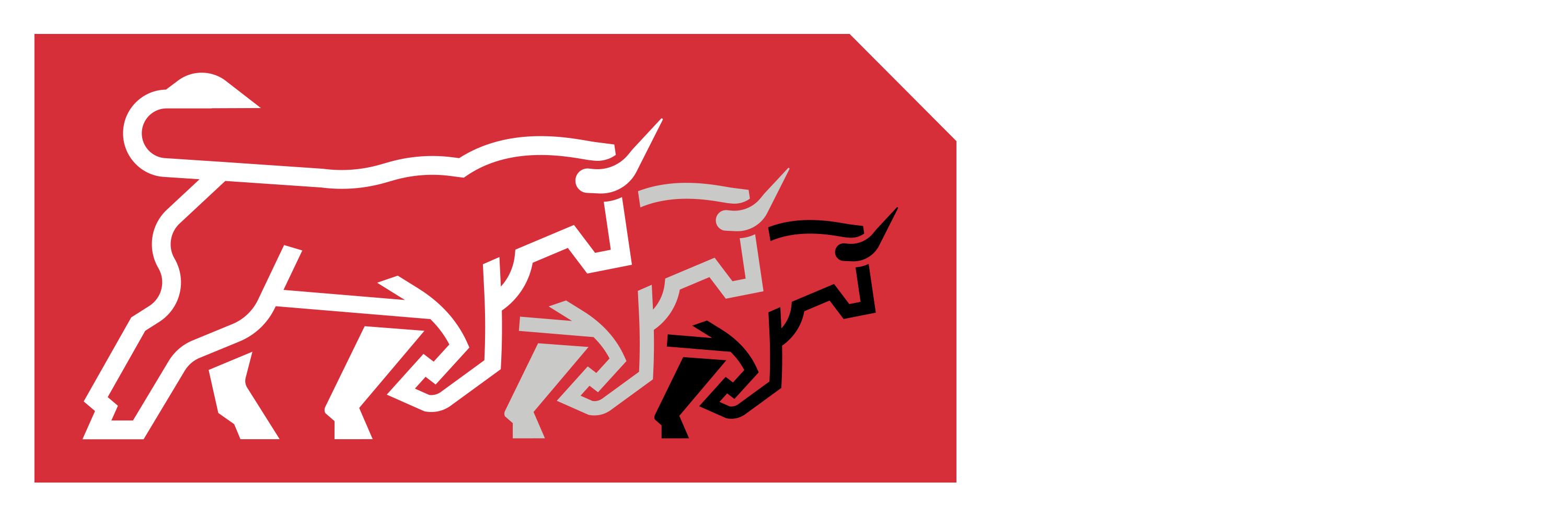 Bulls Run Group