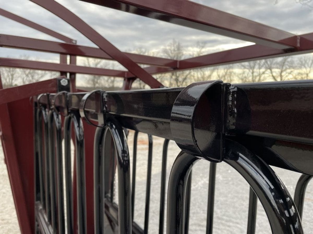 DH Economy Plus Cattle Chute_006