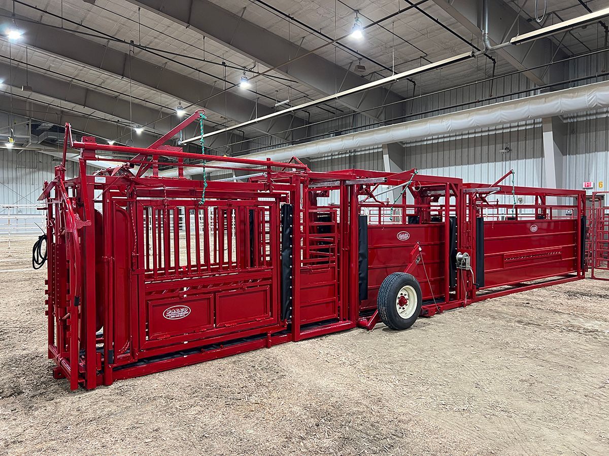 2085_16_ w_flippers 2.JPG