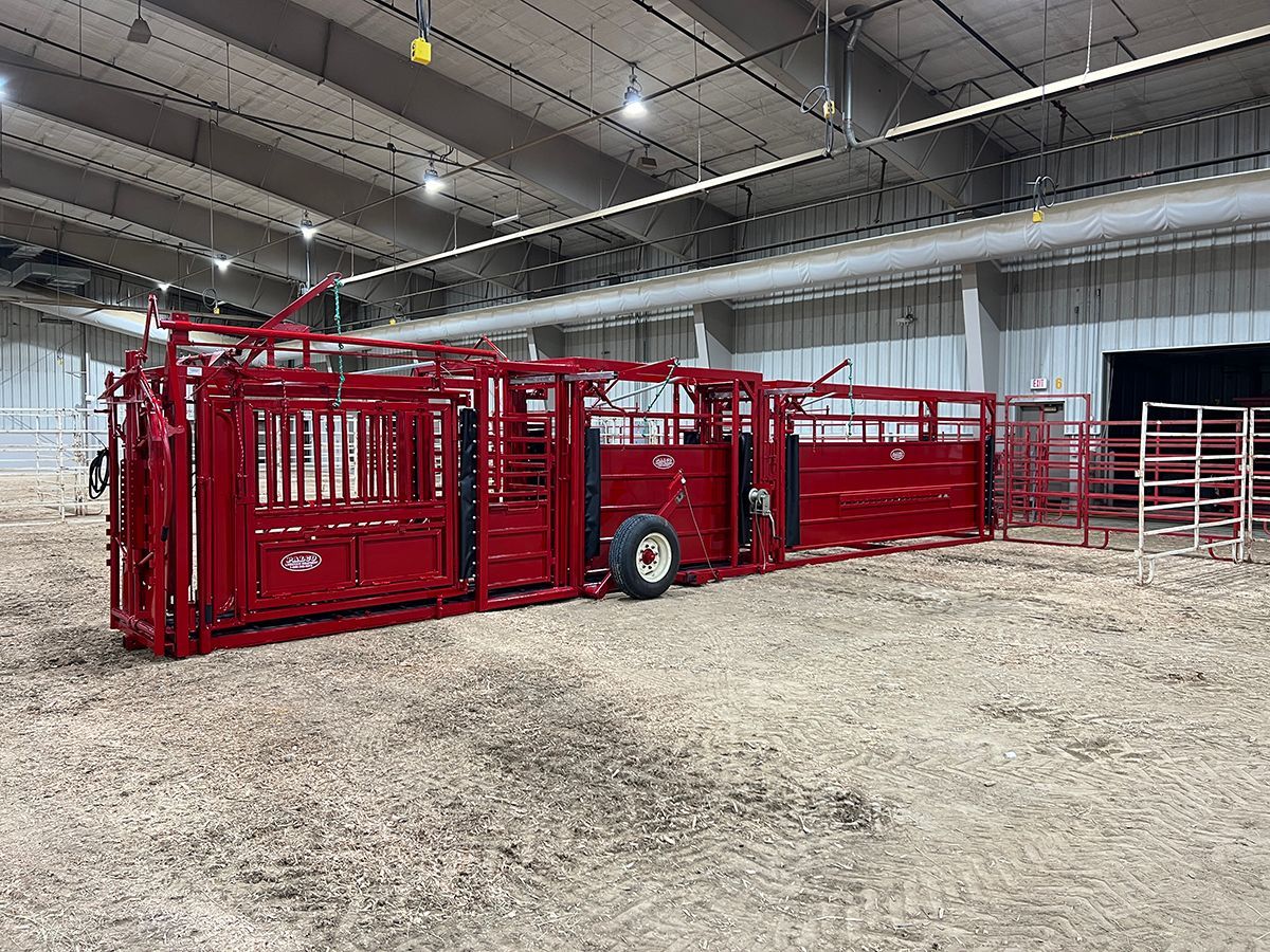 2085_16_ w_flippers 1