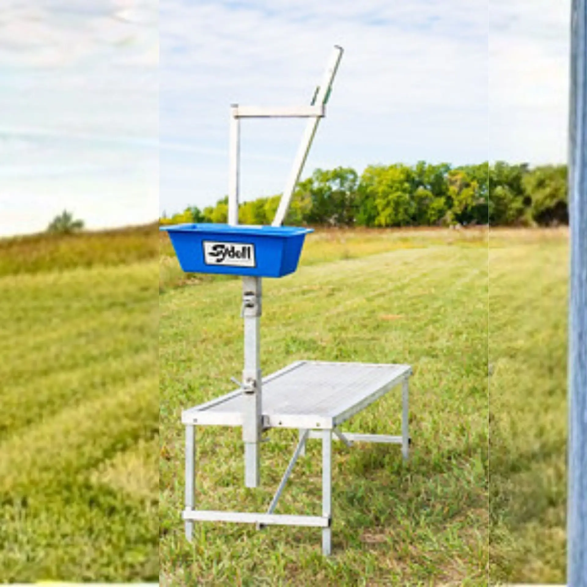 Water Systems for Cattle Operations Tanks, Waterers, and What Actually Works