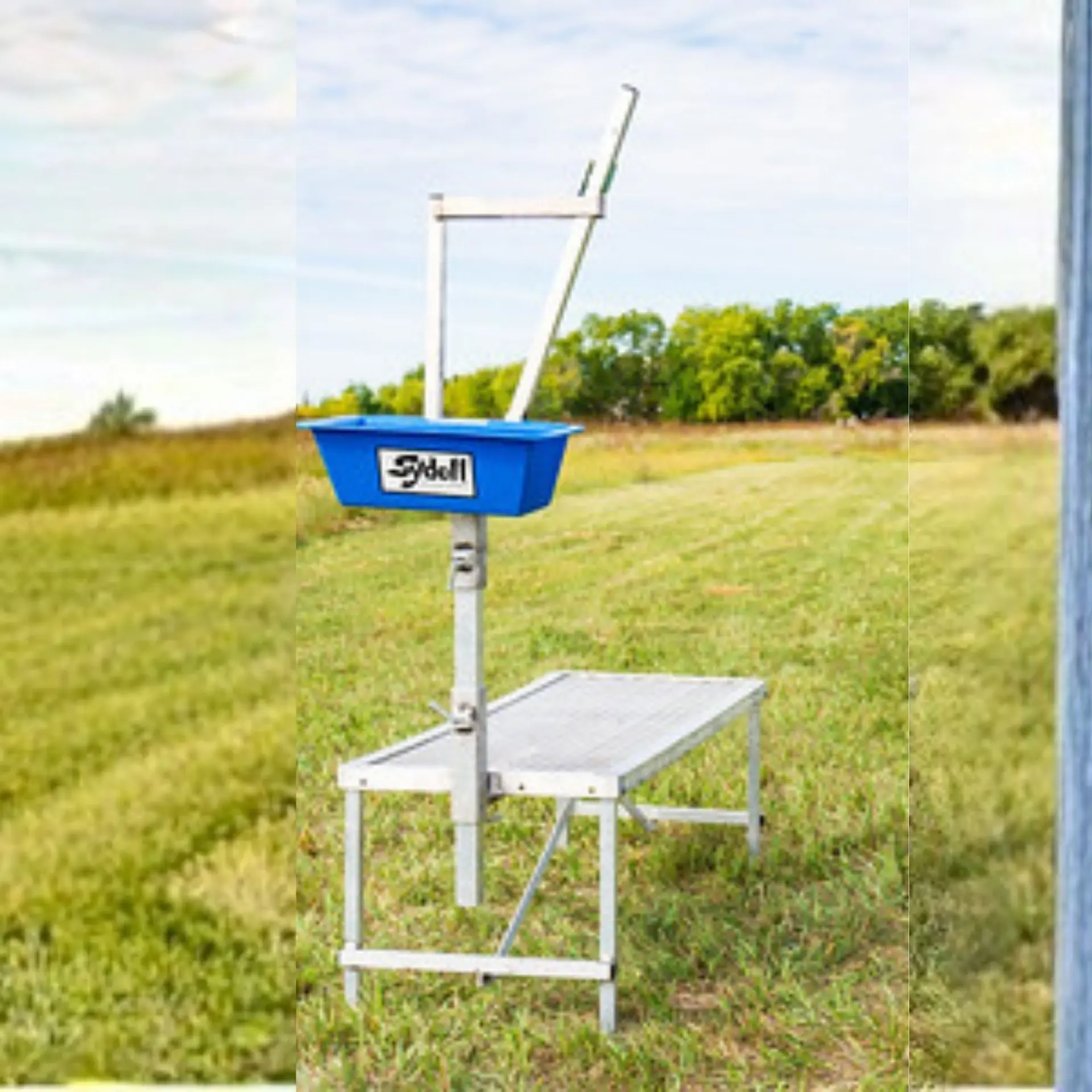 Water Systems for Cattle Operations Tanks, Waterers, and What Actually Works