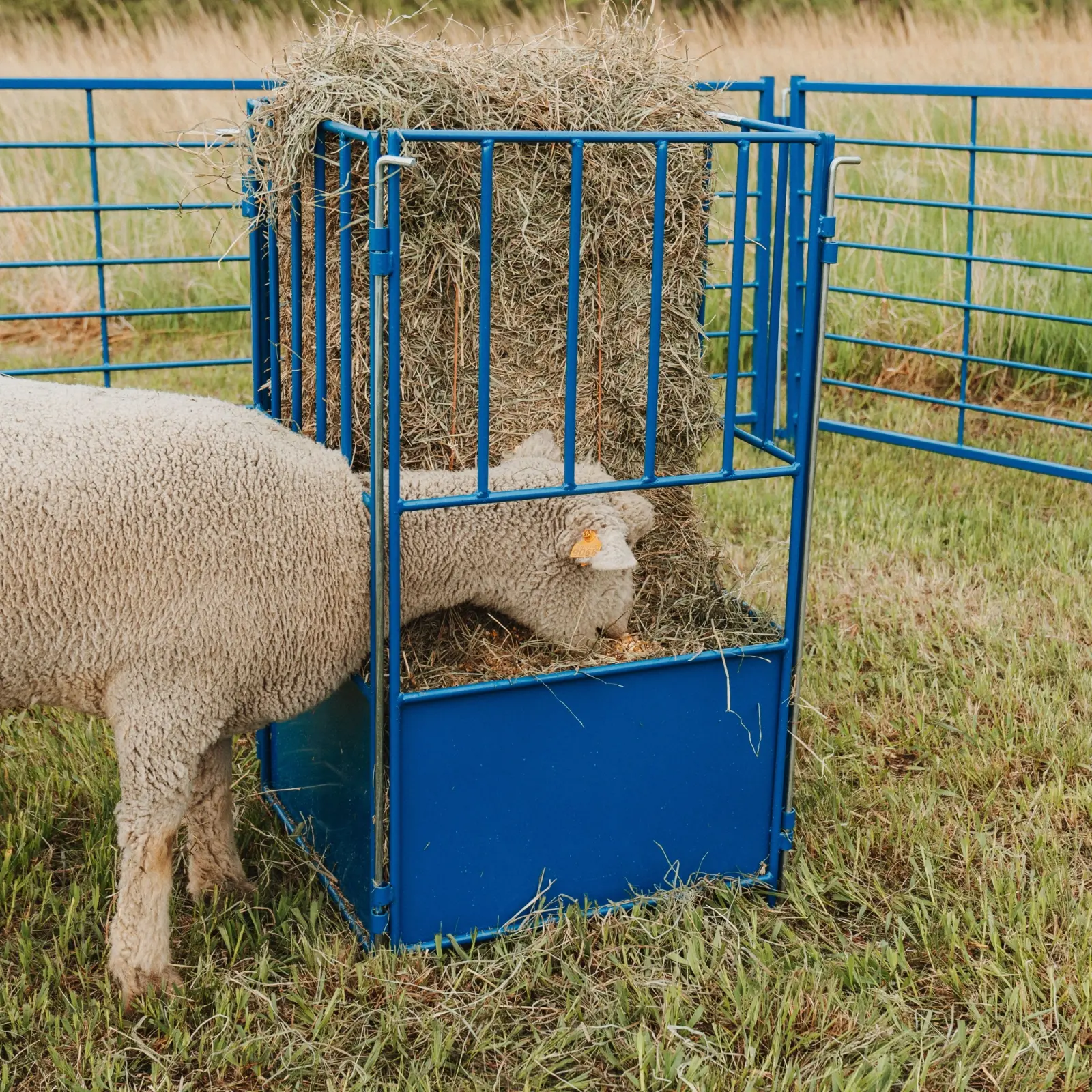 Small Square Bale Feeder for Sheep & Goats