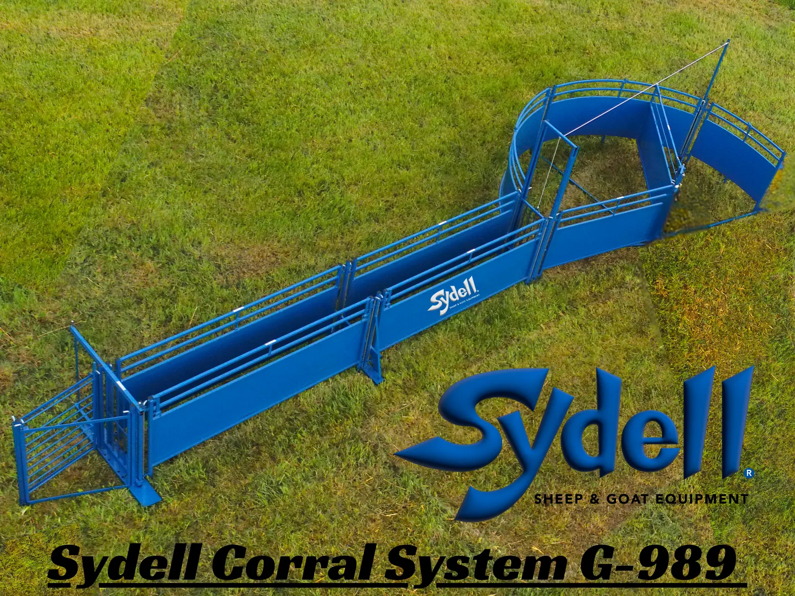 Complete Corral Working System G for Sheep & Goats
