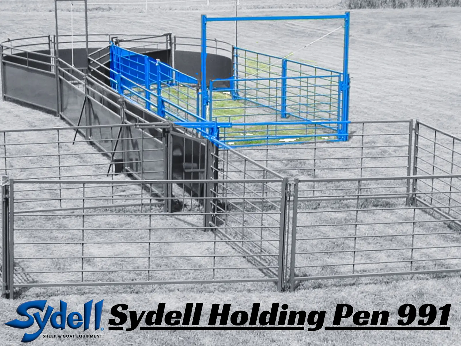 Holding Pen for add on to Complete Corral System / Working System for Sheep & Goats