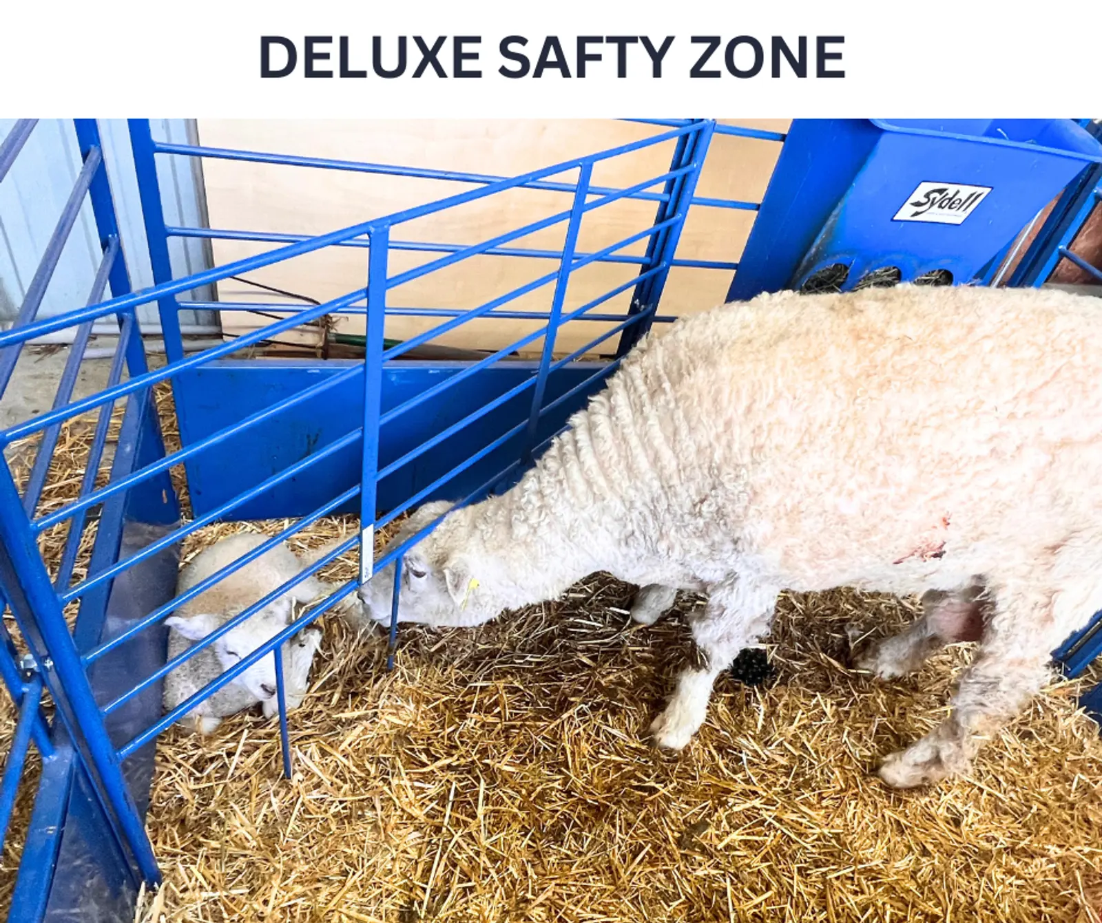 Starter Safety Zone for Deluxe Lambing/Kidding Pens for Sheep & Goats