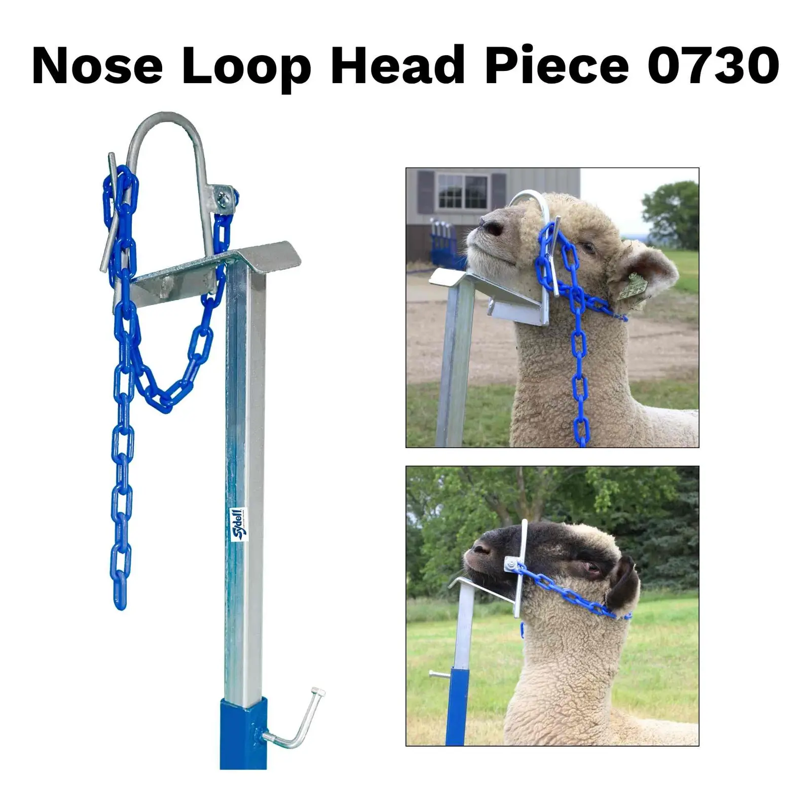 Nose Loop Head Piece for Sheep & Goats