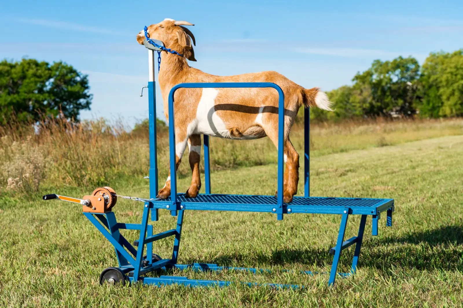 Safety Rails - Item #0721 For Sydell SHOWMAN’S BEST Stands & Milking Stanchions for Sheep & Goats