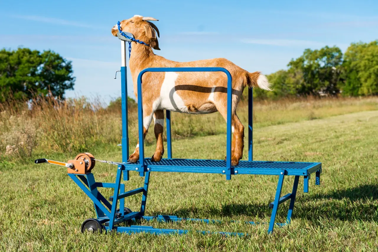 Safety Rails - Item #0721 For Sydell SHOWMAN’S BEST Stands & Milking Stanchions for Sheep & Goats