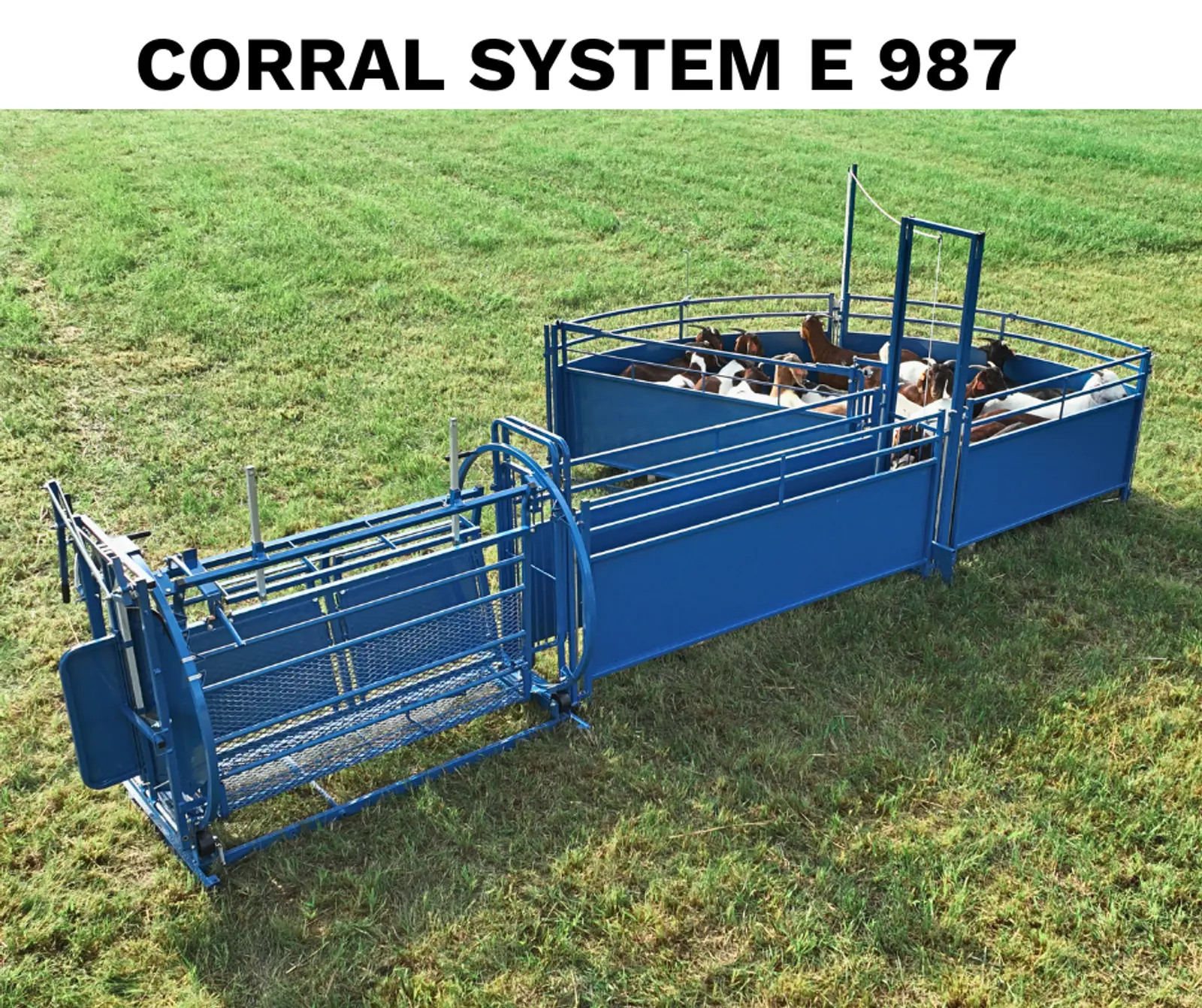 Sheep & Goat Working System E