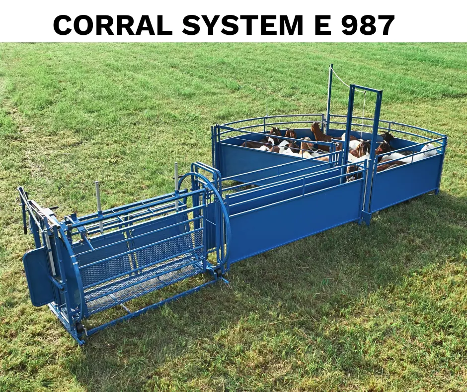 Sheep & Goat Working System E