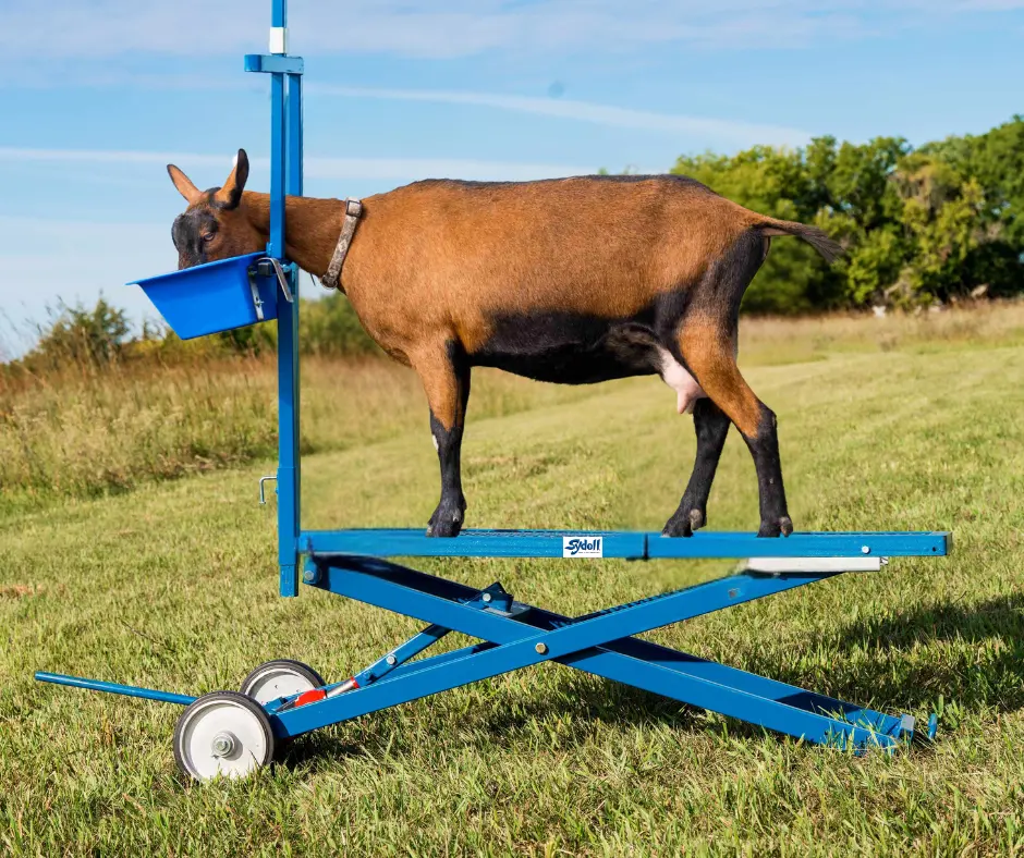 Hydraulic Stand W/0735 Milking Stanchion for Sheep & Goats