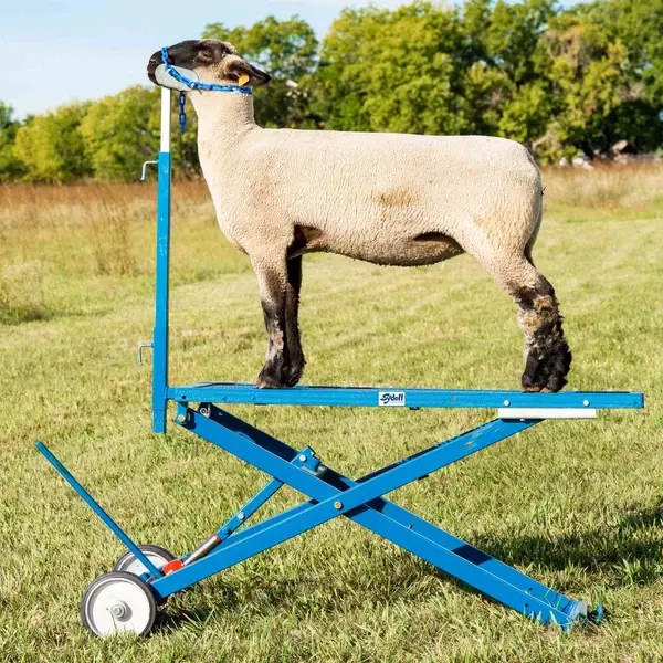 Show Equipment