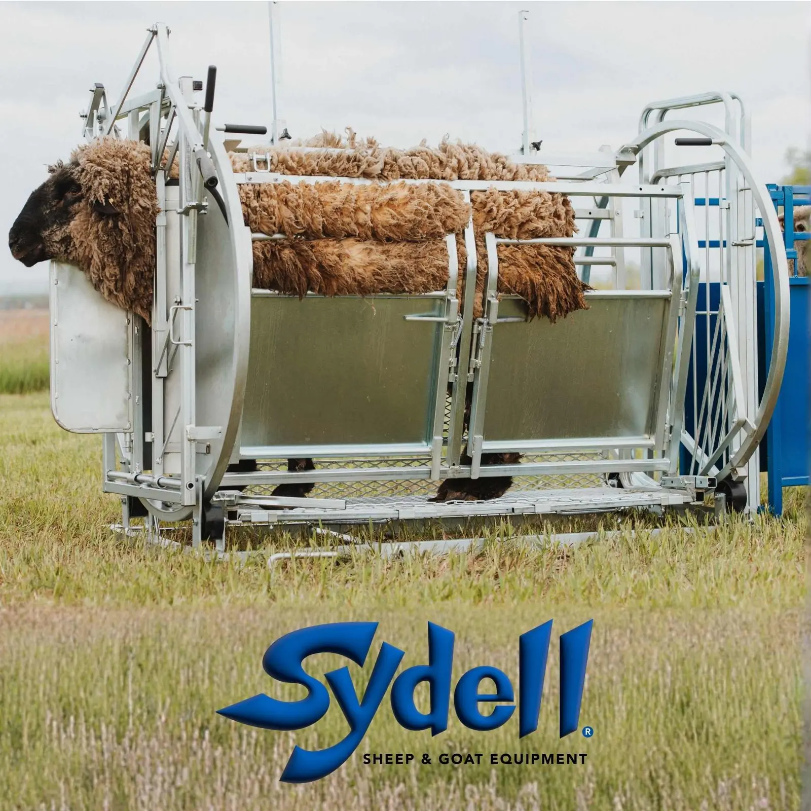 Deluxe Spin Doctor Sheep & Goat Hoof Trimming