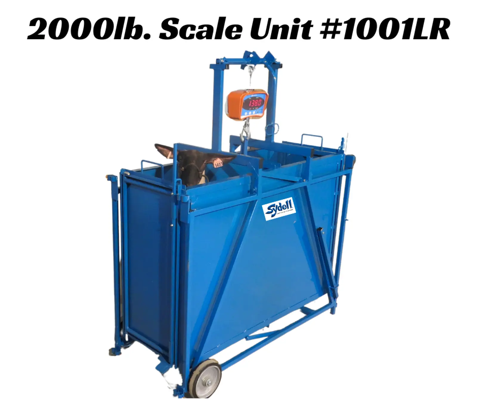 2000 lb. Digital Scale with Right & Left Hinge Doors for Sheep & Goats