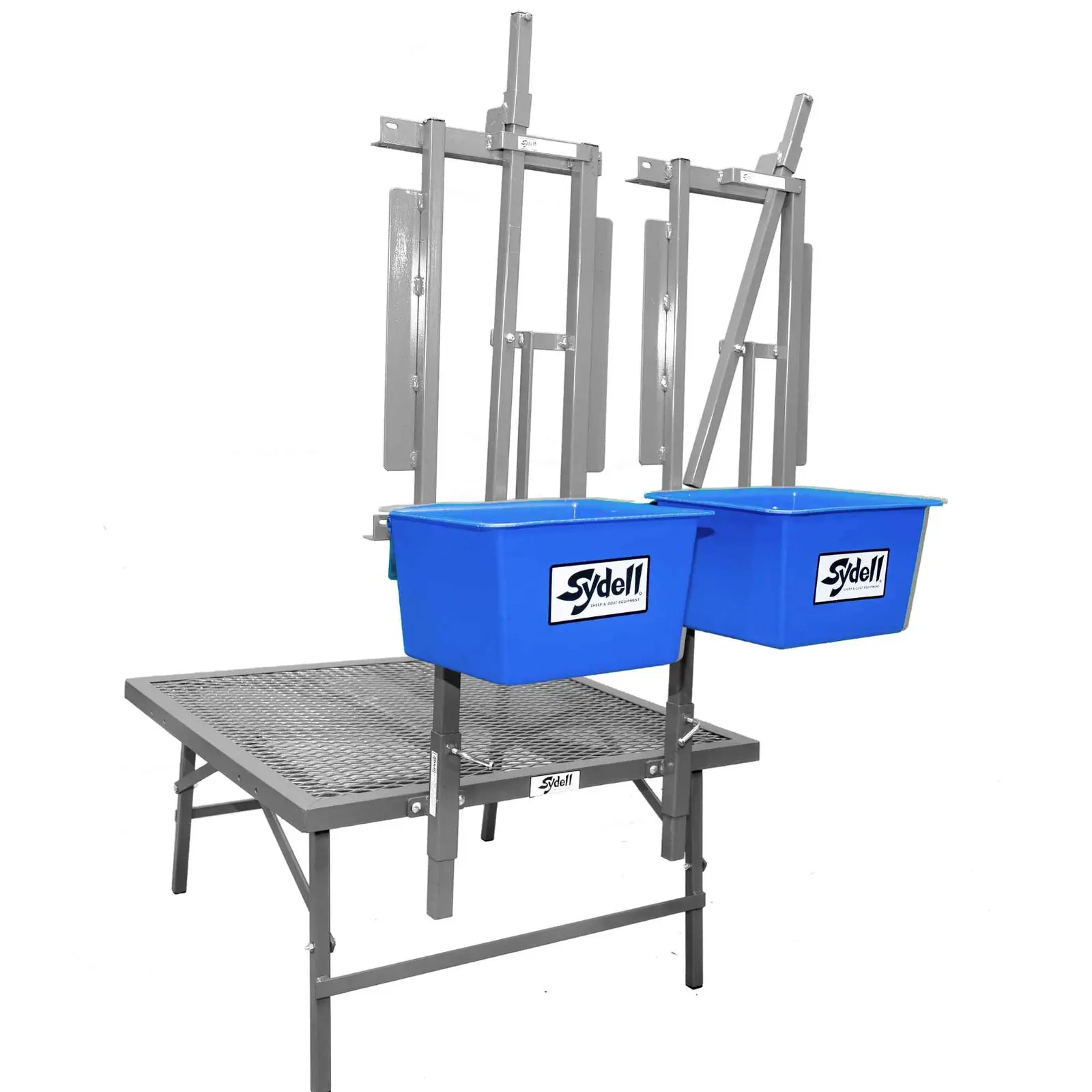 Sheep and Goat Double-Headed Milking Stanchion