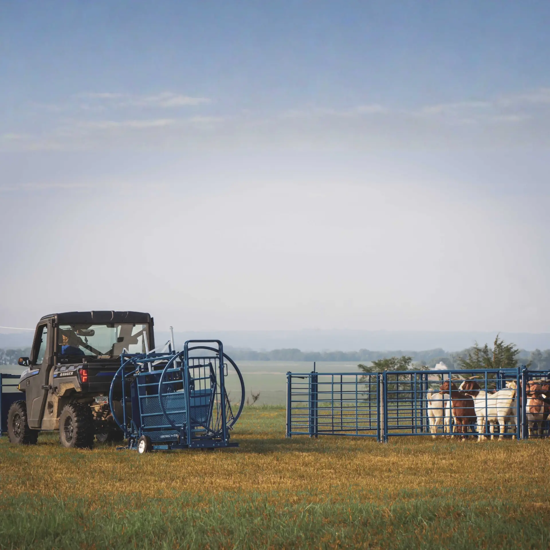 Perimeter vs. Cross-Fencing Building a Fence System That Actually Supports Rotational Grazing