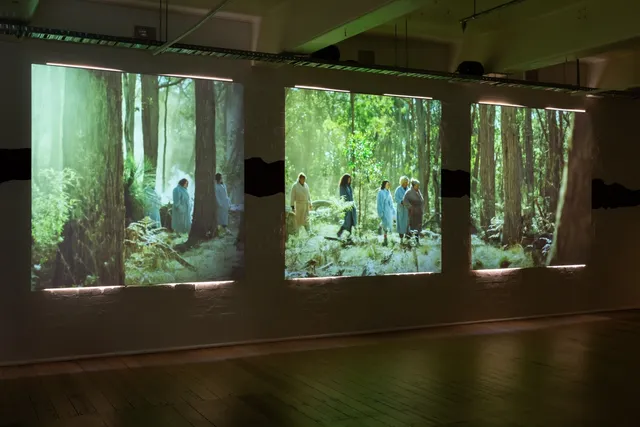 Three square projections on the wall of people walking through the bush. Soft green light illuminating the ceiling and wooden floor.