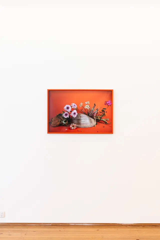 A framed photographic piece by Katie West. Flowers lay on a shell on a red background, hung on the white gallery wall.