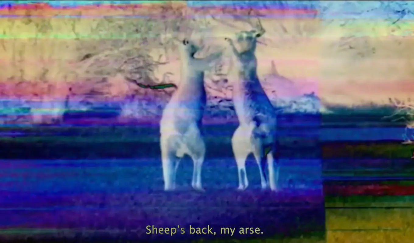 A glitchy holographic film still of two kangaroos fighting with the caption 'Sheep's back, my arse' written at the bottom of the screen.
