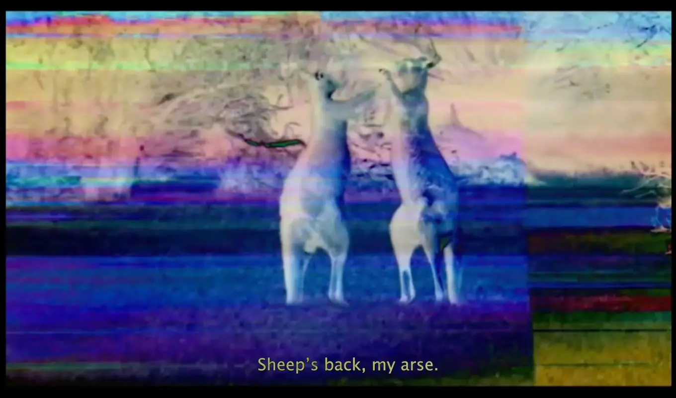 A glitchy holographic film still of two kangaroos fighting with the caption 'Sheep's back, my arse' written at the bottom of the screen.