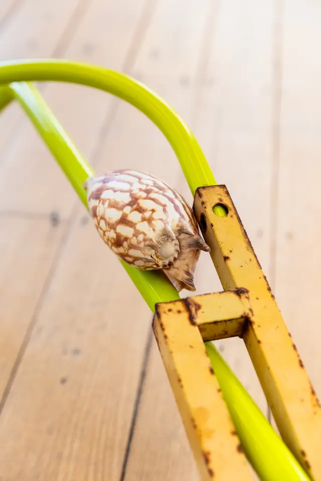 A detail shot of a brown and white patterned shell sitting between a neon pole and a yellow rusting pole
