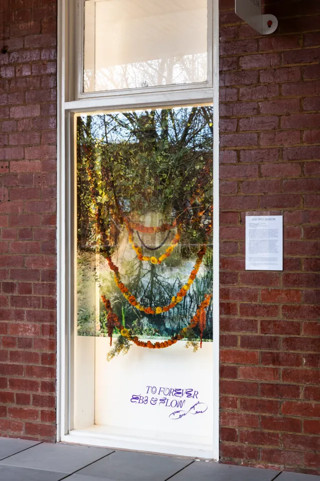 A collection of threaded dried orange and yellow flowers hang in front of a green scene of vegetation in the west space window surrounded by brick walls. There is text in the window that reads "to forever ebb and flow"