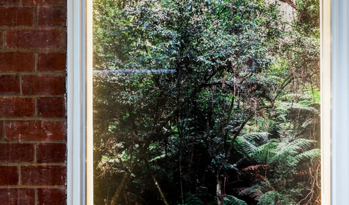 Behind a rectangular white framed window sits an illuminated photograph of nature.