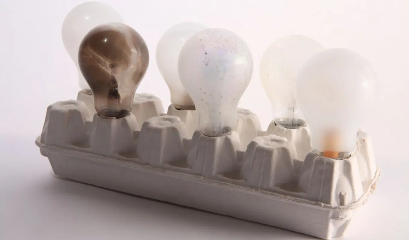 Upside down egg carton with six lightbulbs stick into the bottom pockets.