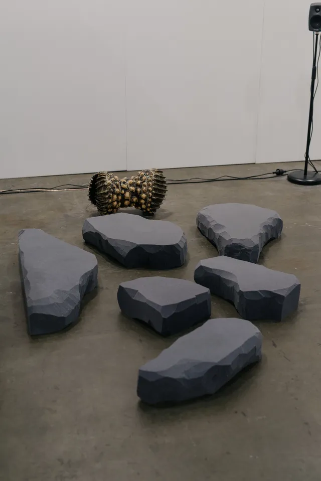 Aarti Jadu and Claire de Carteret sound and installation work - six differently shaped rock formations and a shell-like ceramic sculpture.