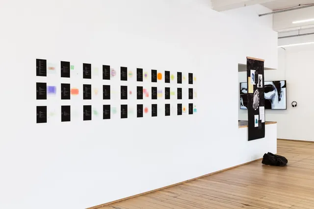 Thirty works on paper presented in three lines at the left, an installation and a video at the right.