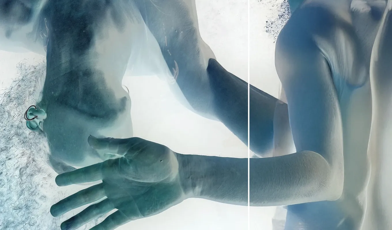 Andrea Illés, 'no rock no flower' (detail), 2025.