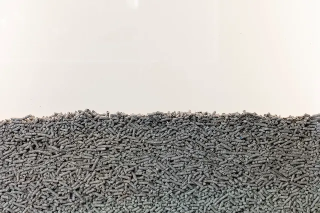 Cat litter fills up half of the image with a white background.
