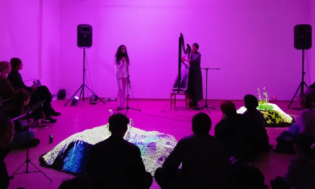 Two people performing in front of the crowd under the pink light, alongside the installation work.