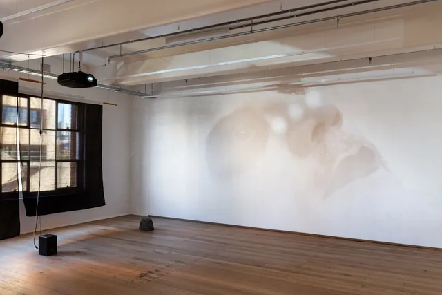 Installation view of "Big Pharmakon". The image shows a large close-up projection of a person in black and white facepaint against a white wall. To the left of the wall hang two black semi-transparent sheets in front of a window. A small speaker and a plastic rock sit on the floor in front of the sheets.