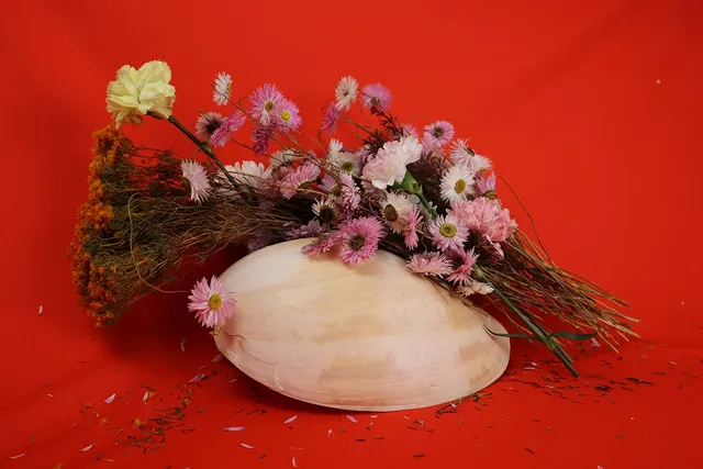A large cream and white shell sits under a bunch of various native flower, of different shapes and colours, in front of a vibrant red background. Petals lie on the surface surrounding the shell.