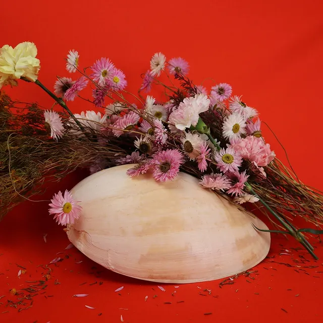 A large cream and white shell sits under a bunch of various native flower, of different shapes and colours, in front of a vibrant red background. Petals lie on the surface surrounding the shell.