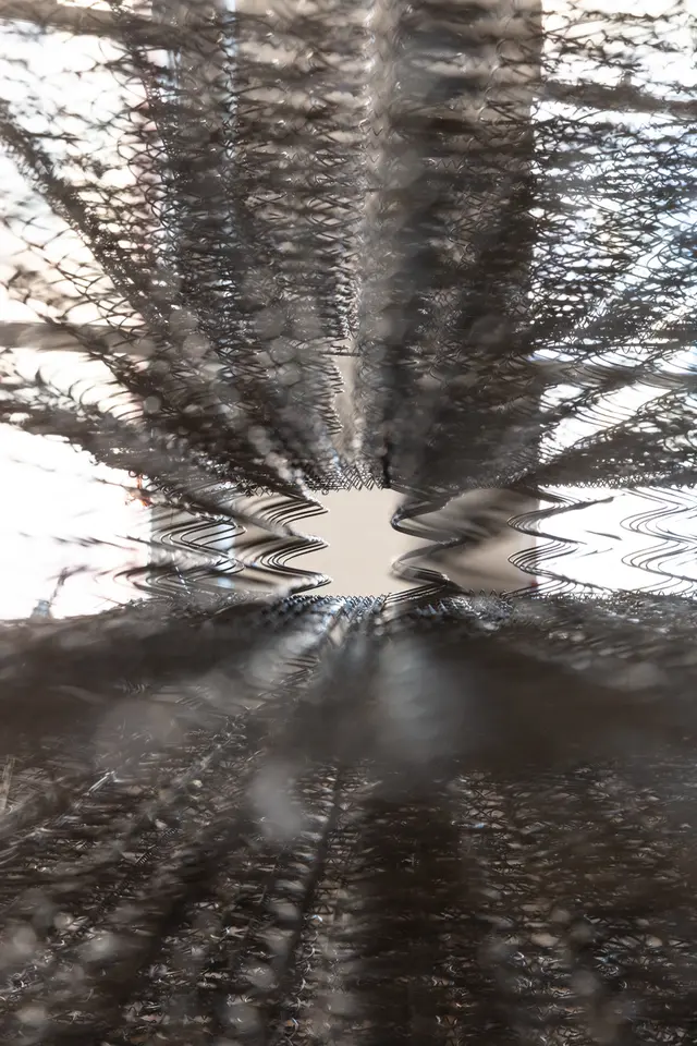Looking through the metal springs of mattresses.