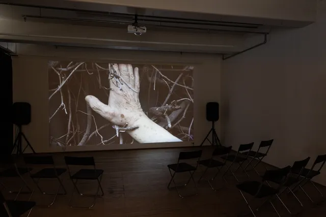 The corner of the gallery and a film projected on the wall with chairs in front is visible. The film still shows a hand with wrinkles and age spots, touching a surface covered by branches and twigs.