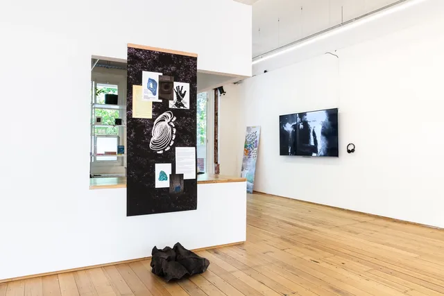 Two installations and a video work.